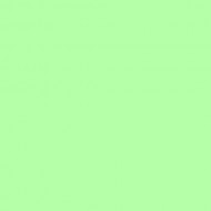 E-COLOUR 138 PALE GREEN. Rollo de 7.62 m x 1.22m ROSCO